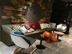 WhatsApp-Image-2017-10-20-at-9.26.29-AM-300x225